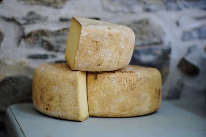does vegan cheese contain tyramine