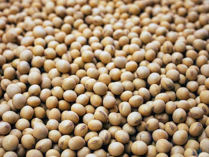 are soybeans keto friendly