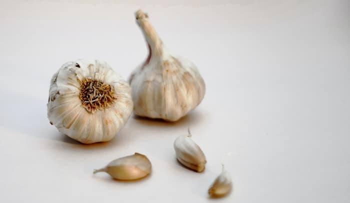 is white mold on garlic dangerous