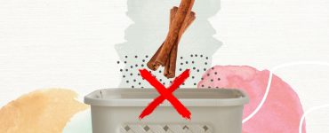 Stop throwing away cinnamon sticks - reuse them instead!