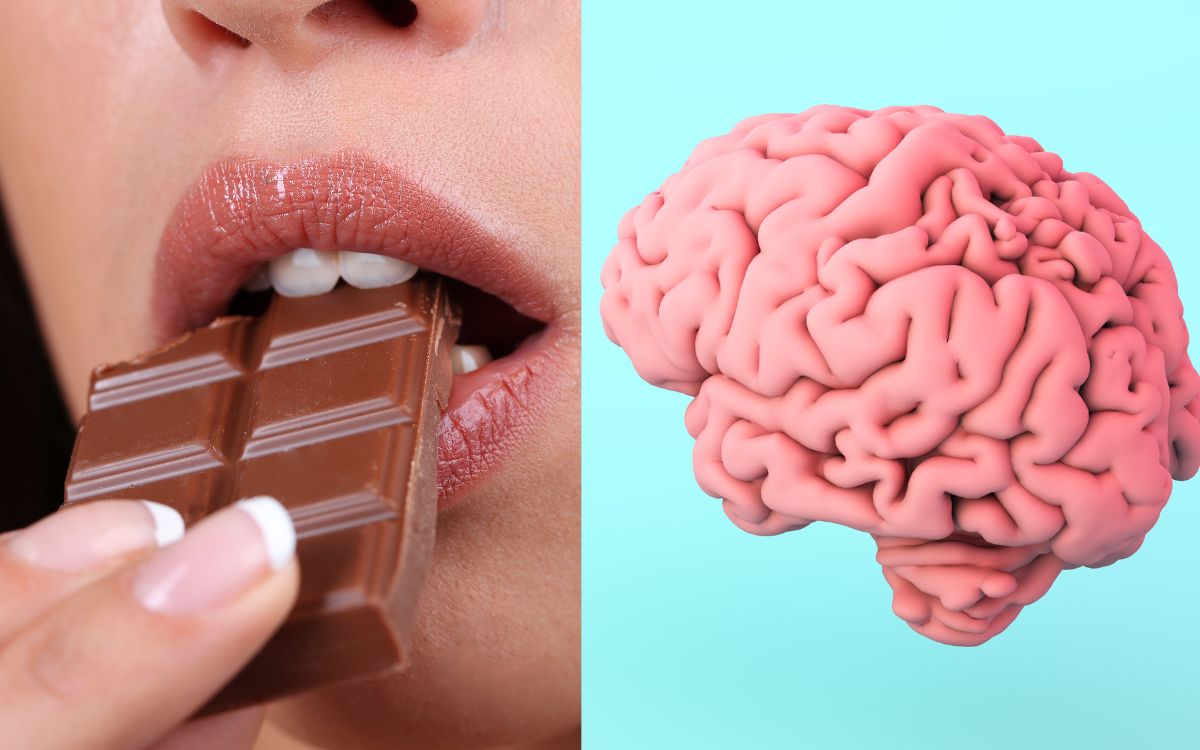 Is It True that Chocolate Can Enhance Memory and Cognitive Function?