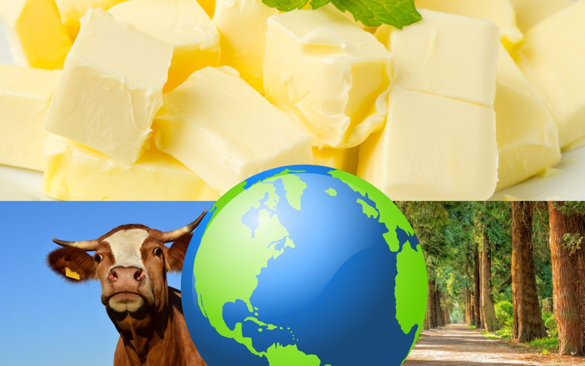 Is Vegan Butter Really Cruelty-Free and Environmental Friendly